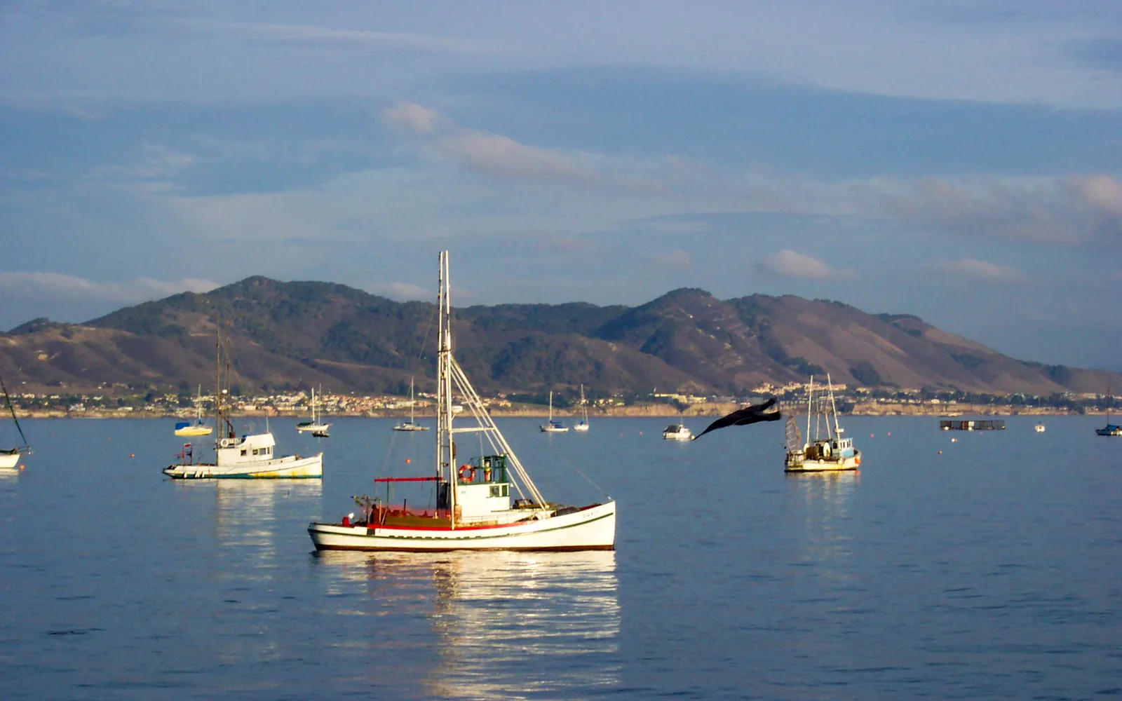 Sailboats and small vessels anchored in calm bay waters